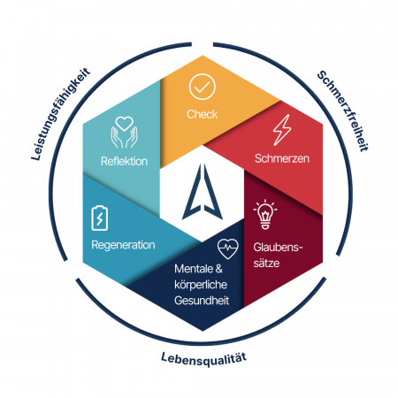 Systemlösung Schmerzfreiheit